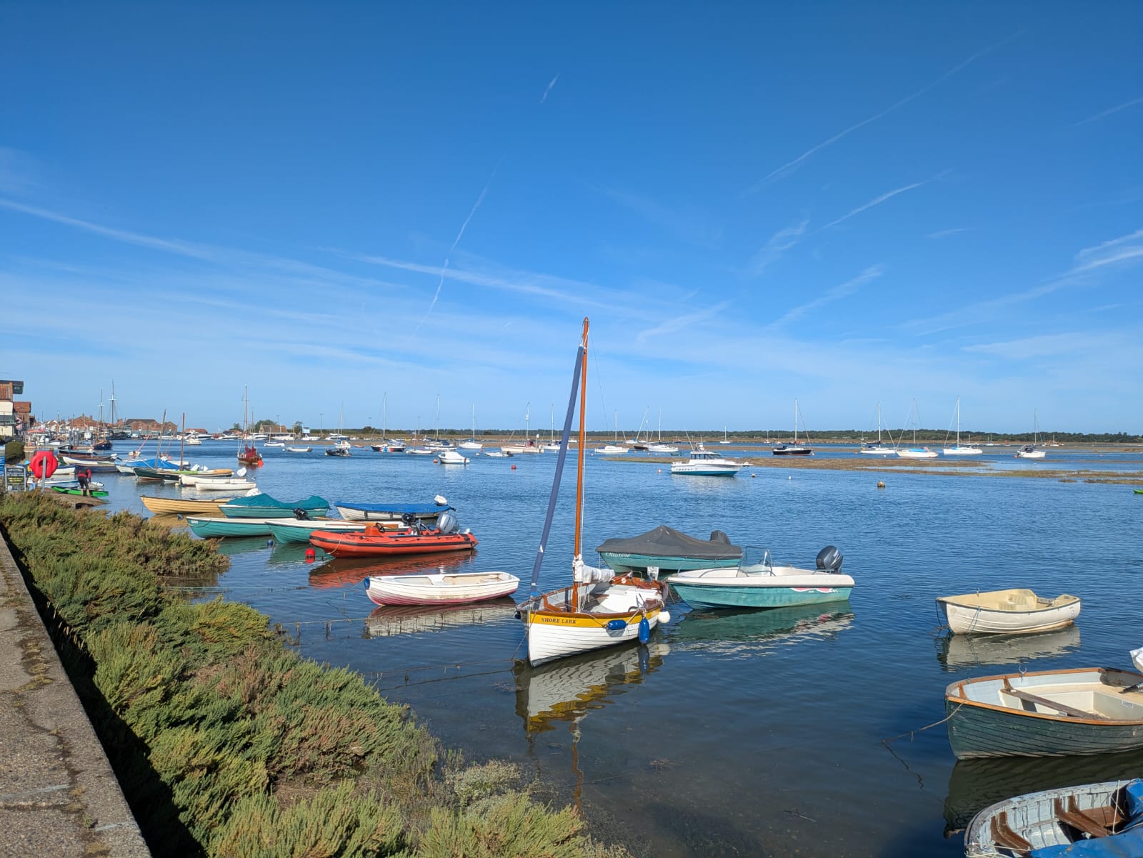 August Monthly Wins: Small Refuges That Saved My Sanity