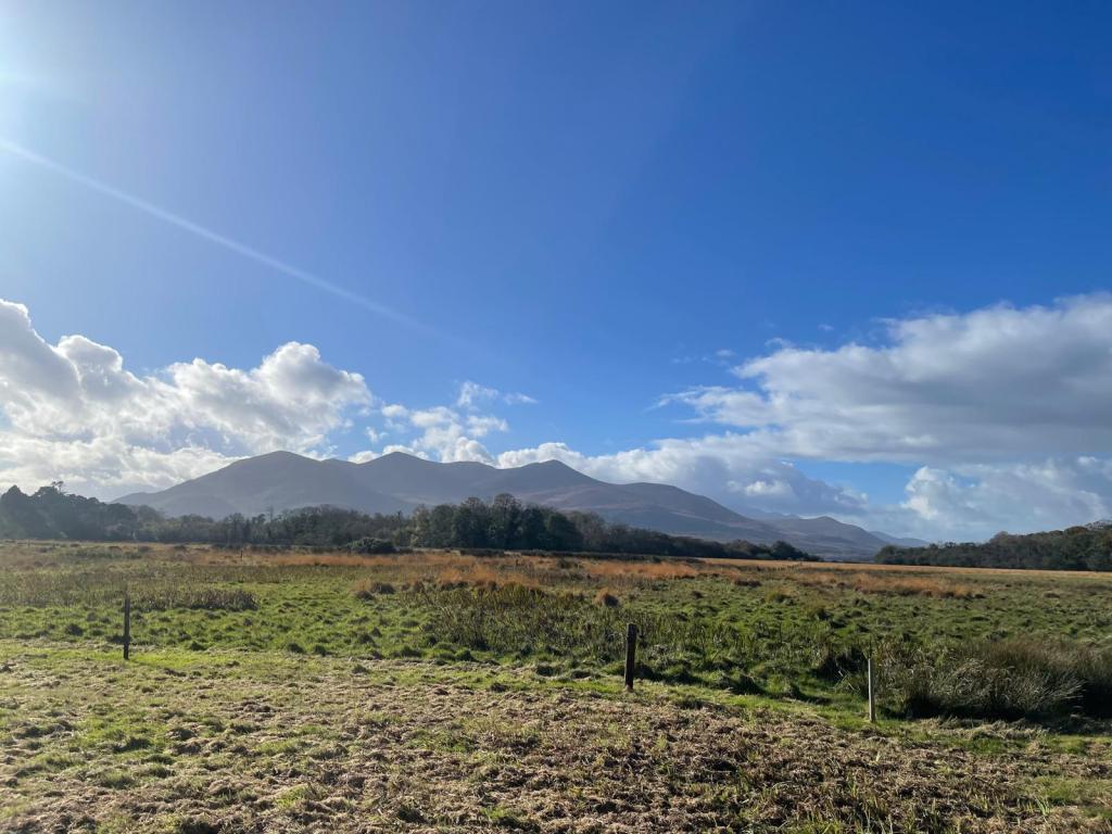 October Wins: Quiet Progress & Cultural Comfort 